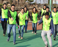 拓展训练——1+1>2