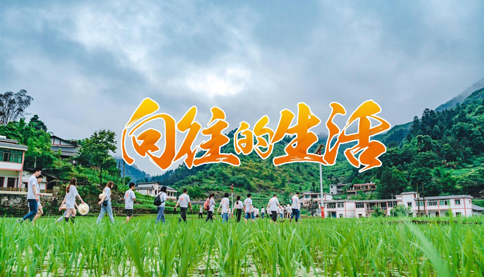 向往的生活-鄄城团建项目 向往的生活-鄄城团建项目