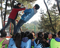 市委开展志愿者拓展训练活动