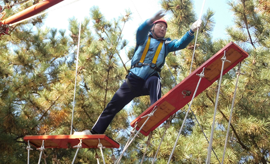 合力桥-高空拓展训练项目