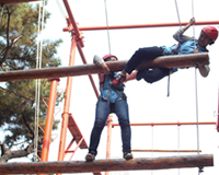 智汇集团团建活动圆满结束