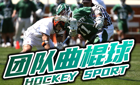 团队曲棍球