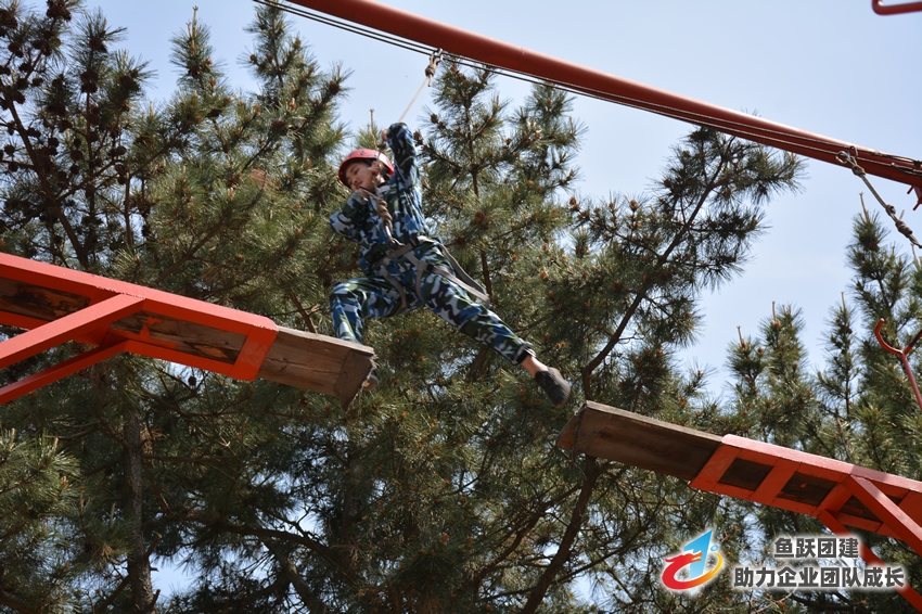 青岛纽伊斯特集团拓展训练圆满结束