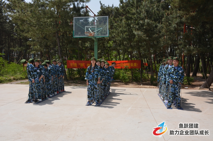 青岛纽伊斯特集团拓展训练圆满结束