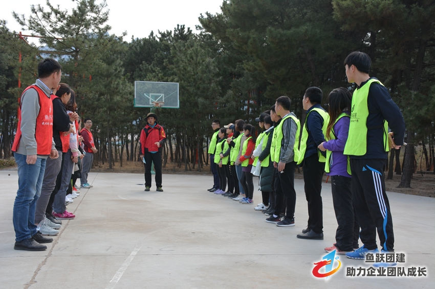 青岛曲之美家具拓展训练第二期圆满结束