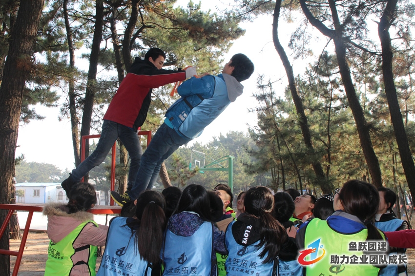 市委开展志愿者拓展训练活动 市委开展志愿者拓展训练活动