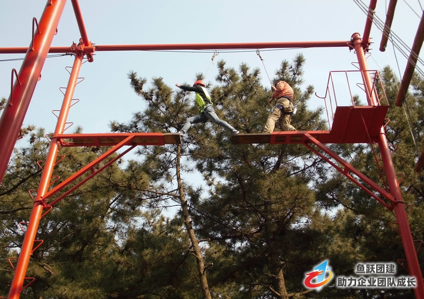 衡水银行拓展训练心得体会