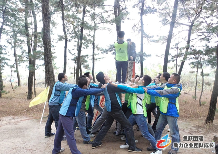 崴航集团青岛分公司两天一夜拓展培训圆满结束 崴航集团青岛分公司两天一夜拓展培训圆满结束