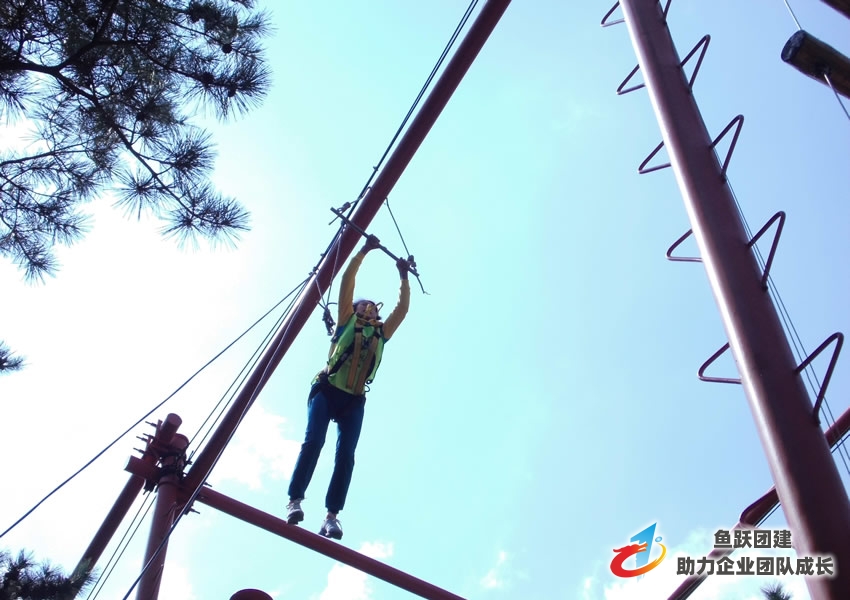 军事素质拓展训练帮助新生融入新环境