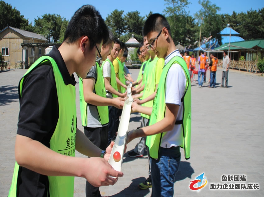 市质监局开展体验式拓展训练 市质监局开展体验式拓展训练