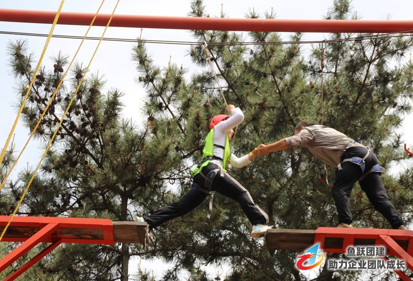 米奇漆开展“卓越团队”拓展训练 打造涂料业精英队伍 米奇漆开展“卓越团队”拓展训练 打造涂料业精英队伍