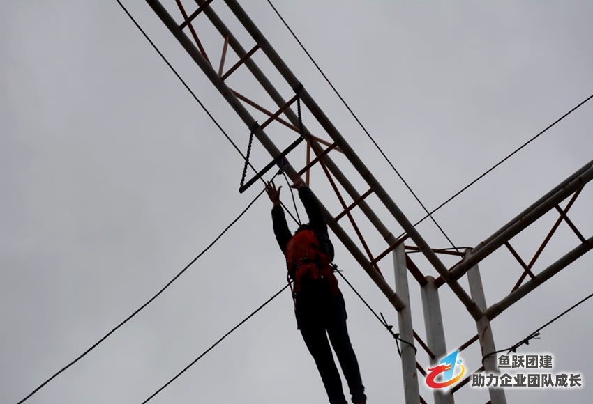 乳山医疗机构开展户外拓展训练