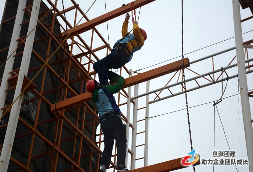 农行青岛分行组织员工开展拓展训练 农行青岛分行组织员工开展拓展训练