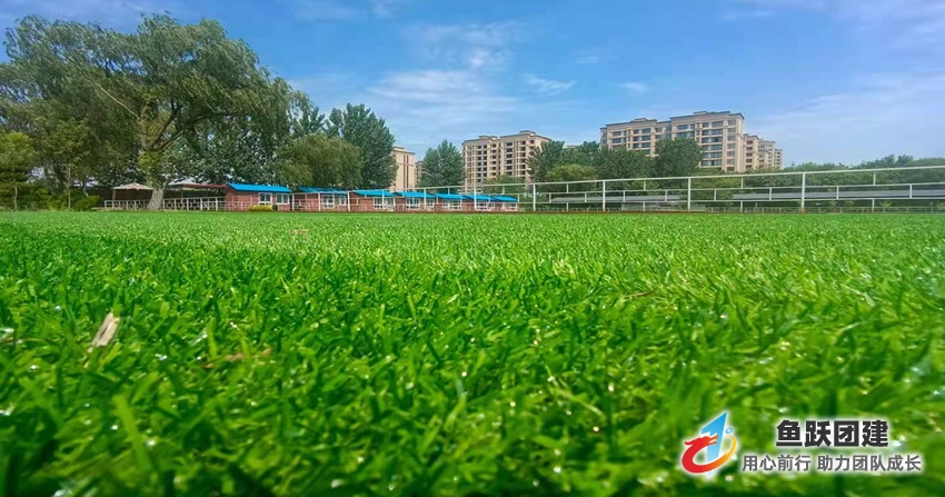 鱼跃荷塘月色基地位于青岛胶州市集娱乐休闲、文化旅游、会议、团建、研学为一体的多功能训练活动基地，可以举办拓展训练、研学、亲子活动、公司企业团建活动等。