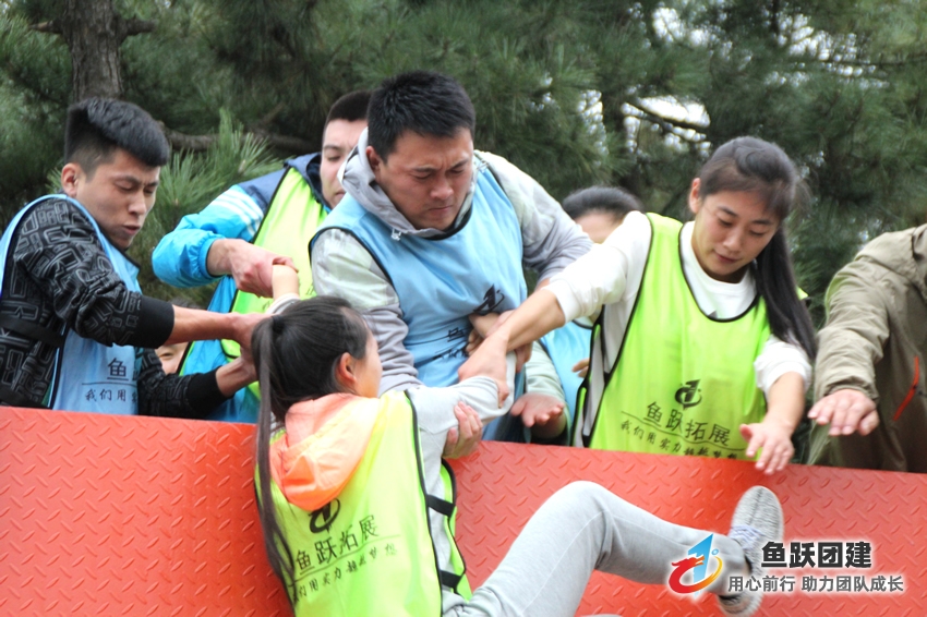 毕业墙-黄岛场地拓展训练项目 毕业墙-黄岛场地拓展训练项目
