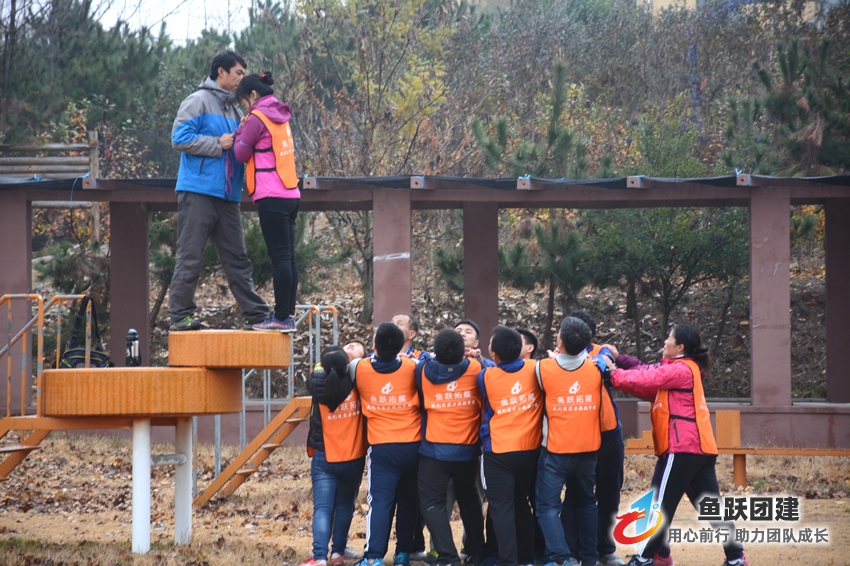 信任背摔-崂山场地拓展训练项目