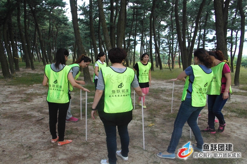 不倒森林-市南区场地拓展训练项目
