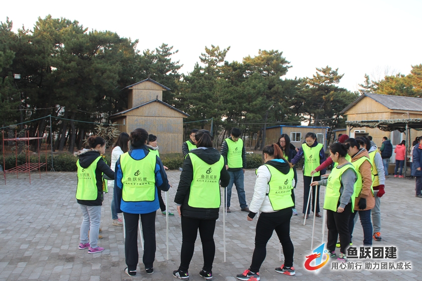 不倒森林-市南区场地拓展训练项目