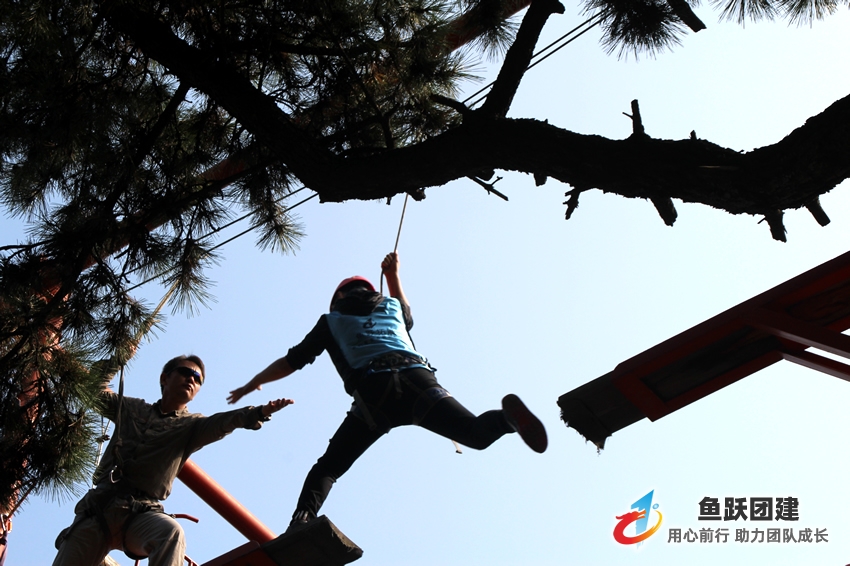 高空断桥-平度高空拓展训练项目